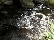 OUTDOOR BY SMALL RIVER HIDDEN CAM CAUGHT MILF MASTRUBATE ) PANTY STUFFING