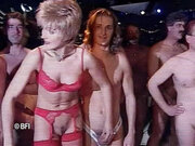 DVD - Gangbang in Flanders part 2