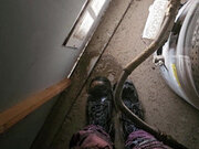 piss in the closet