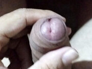 bigjucydick
