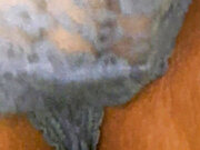 Close Up My Pussy