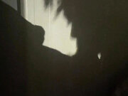 She Wanted To See The Shadow Of Her Sucking My Dick.