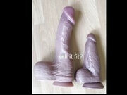 The new dildo