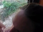 blowing old cock in the field