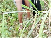 village sister in law fucked field in sugarcane video