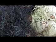 Chacha bhatiji full hindi sex movie 4k video