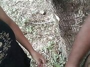 Indian Village Milf Bhabhi Enjoy Outdoor Sex With Stranger