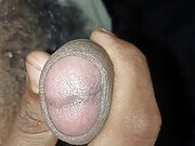 Tonight I inserted my black thick cock in my stepsister's pussy and kept fucking her till morning